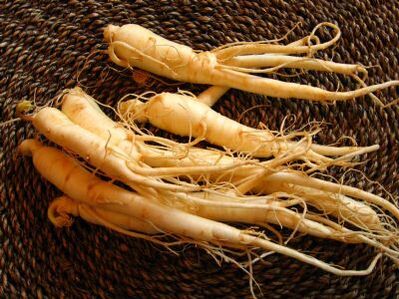 Ginseng root stimulates a strong erection