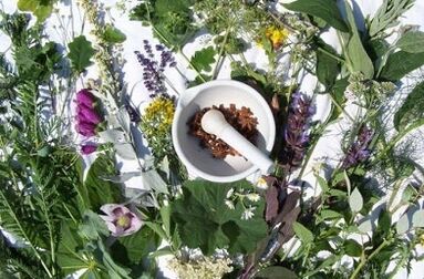 Folk medicines to increase efficiency