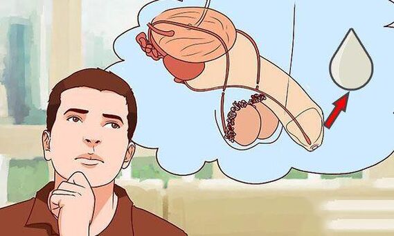 Lubrication of lubrication excitedly