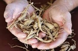 Increasing efficiency in men with natural means