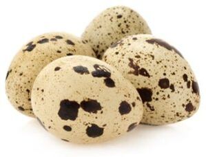 Objects of quail to increase efficiency